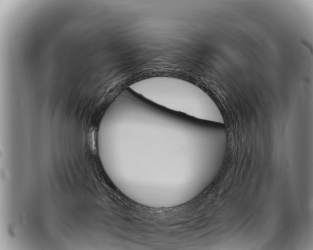 X0000097290042200802151109