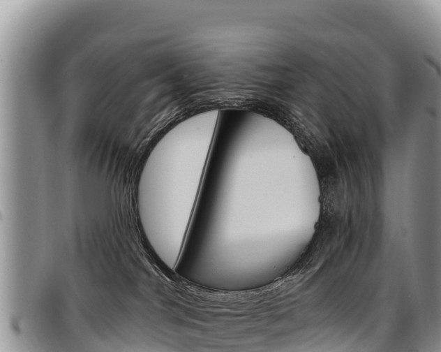 X0000097290044200802151109
