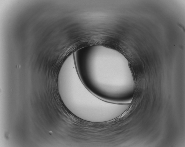 X0000097290045200802151109