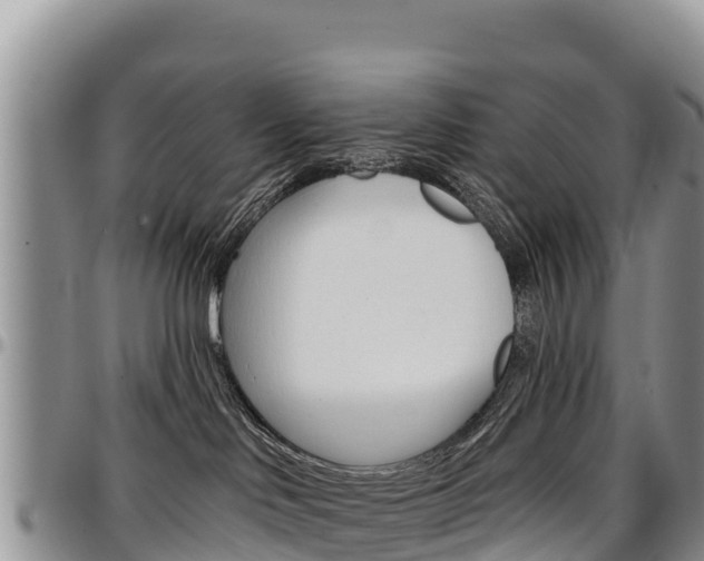 X0000097290046200802151109