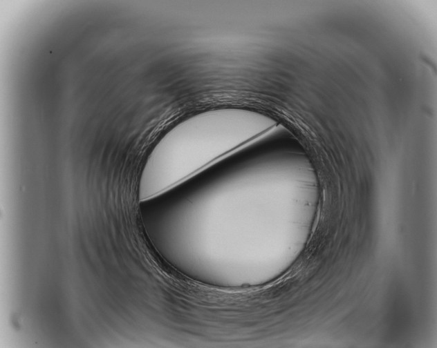 X0000097290048200802151109