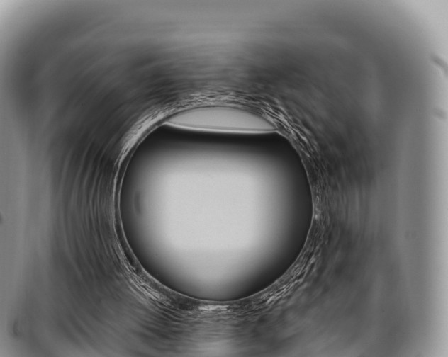 X0000097290052200802151108