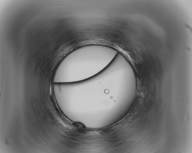 X0000097290061200802151108