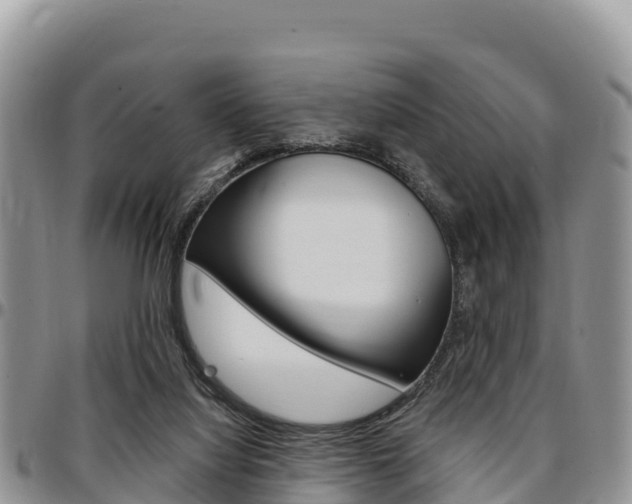 X0000097290068200802151108