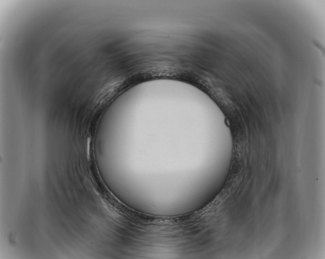 X0000097290070200802151108