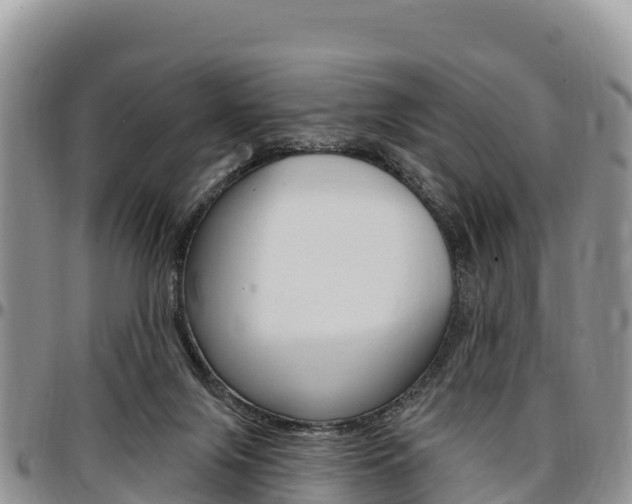 X0000097290071200802151108