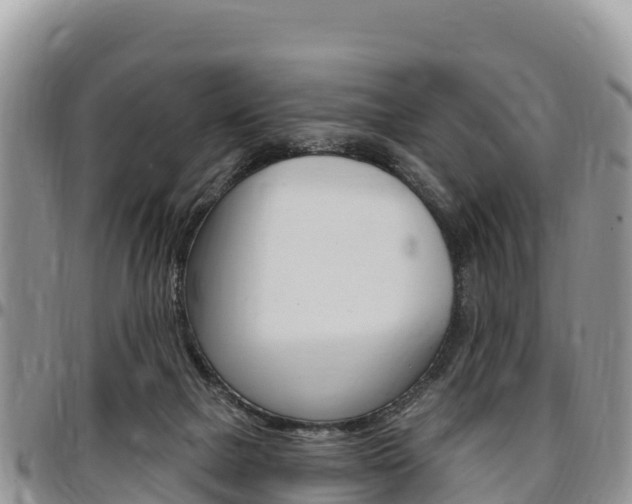 X0000097290073200802151109