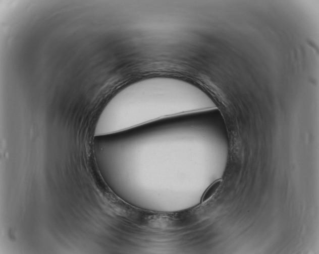X0000097290074200802151109