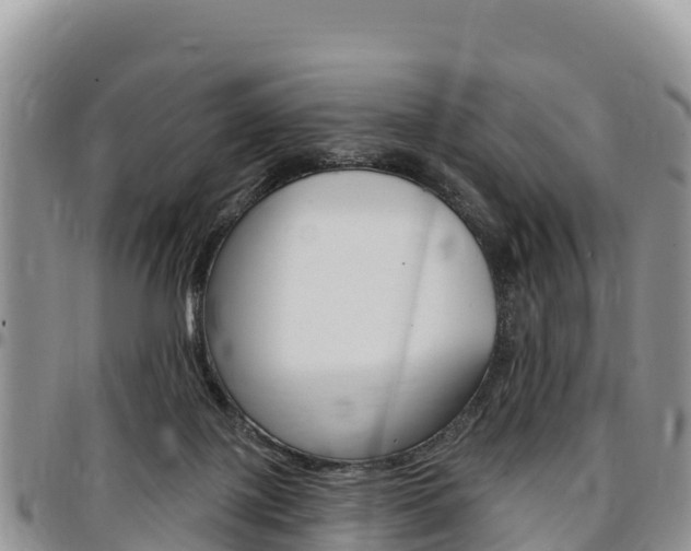X0000097290075200802151109