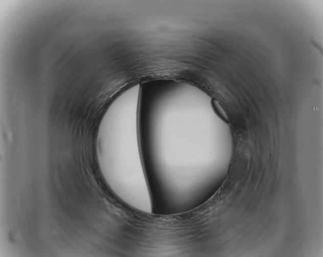 X0000097290076200802151109
