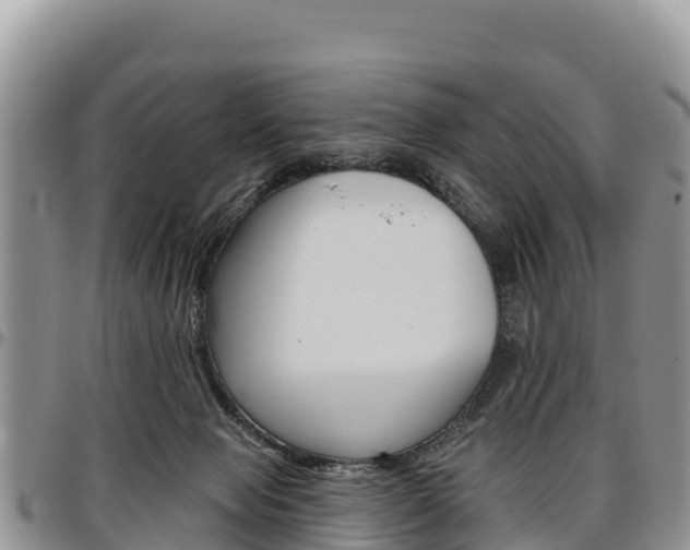 X0000097290077200802151109