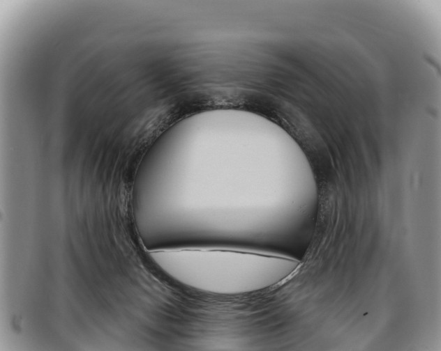 X0000097290078200802151109