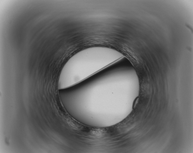 X0000097290079200802151109