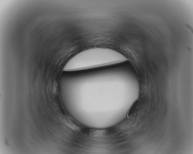 X0000097290081200802151109