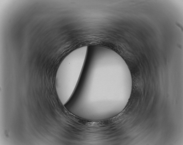 X0000097290082200802151109