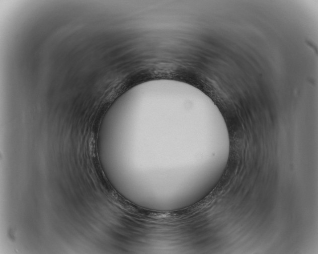 X0000097290083200802151109