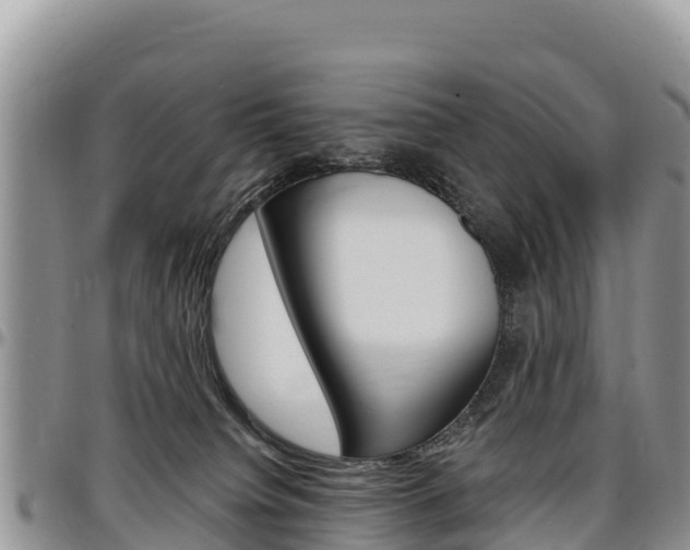 X0000097290084200802151109