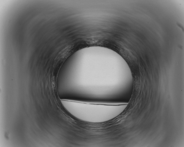 X0000097290085200802151109