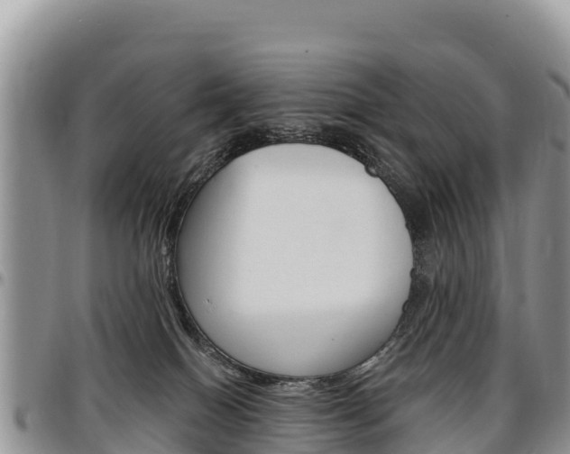 X0000097290086200802151109