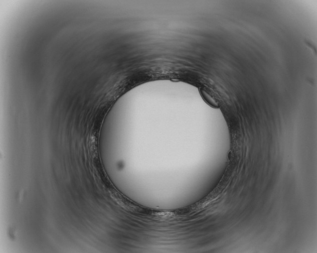 X0000097290087200802151109