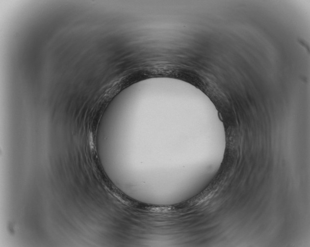X0000097290089200802151109