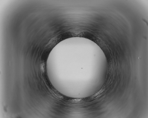 X0000097290090200802151109
