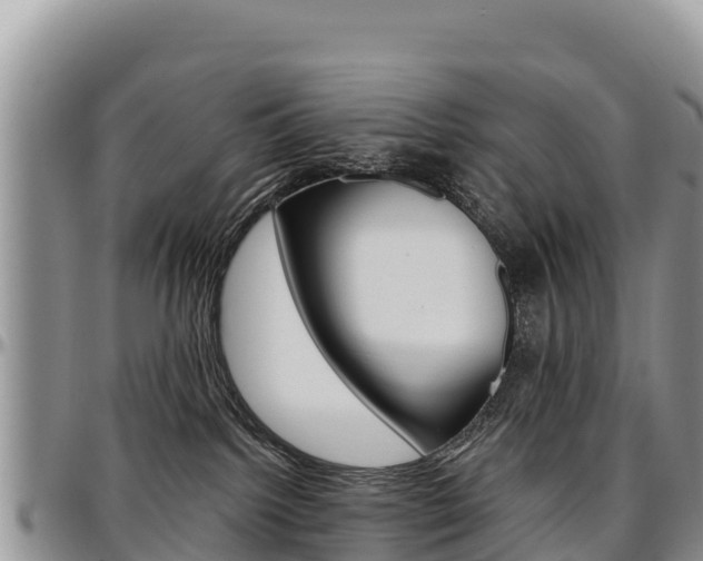 X0000097290092200802151109