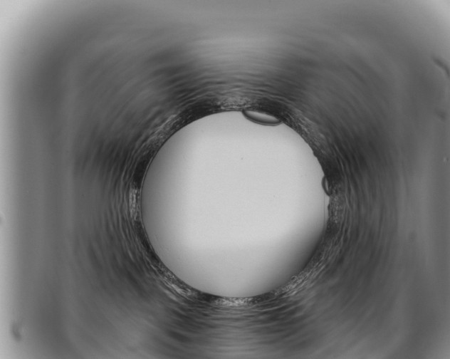 X0000097290093200802151109
