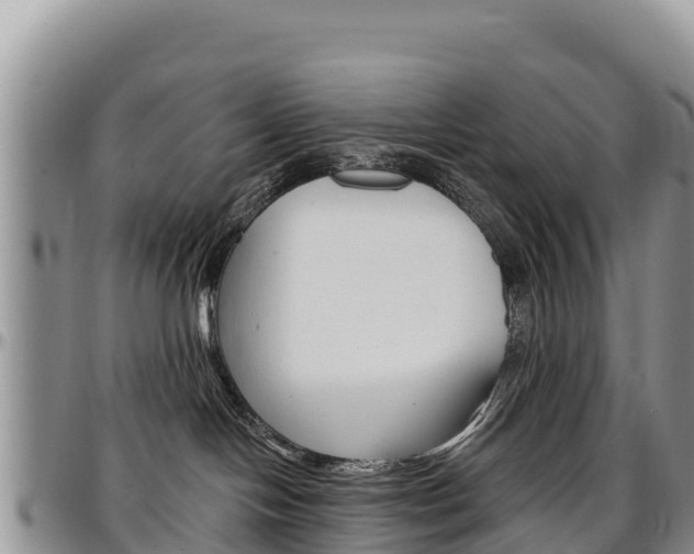 X0000097290094200802151109