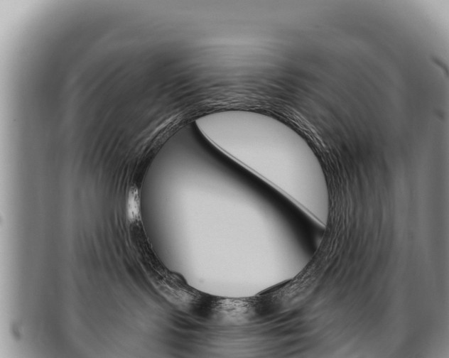 X0000097290095200802151109