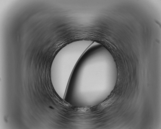 X0000097290096200802151109