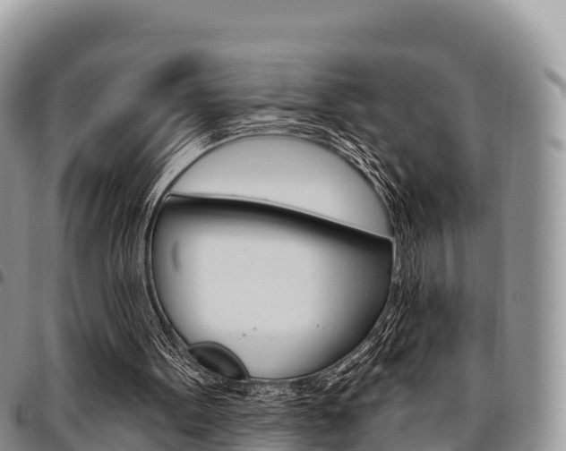 X0000097290099200802151108
