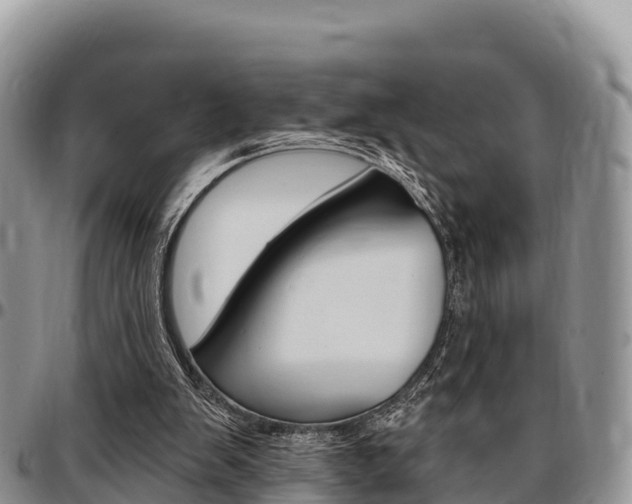 X0000097290103200802151108