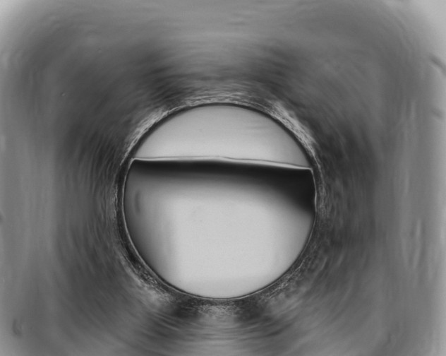 X0000097290107200802151108