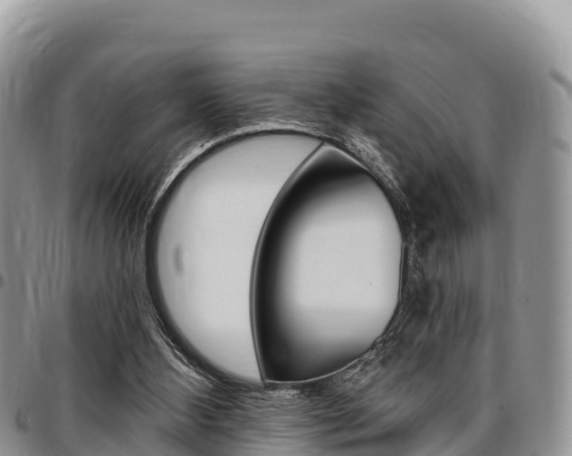 X0000097290108200802151108