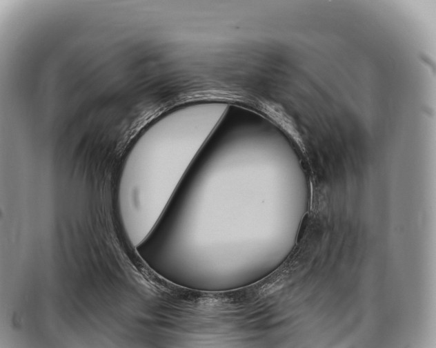 X0000097290109200802151108