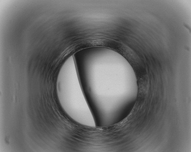 X0000097290124200802151108