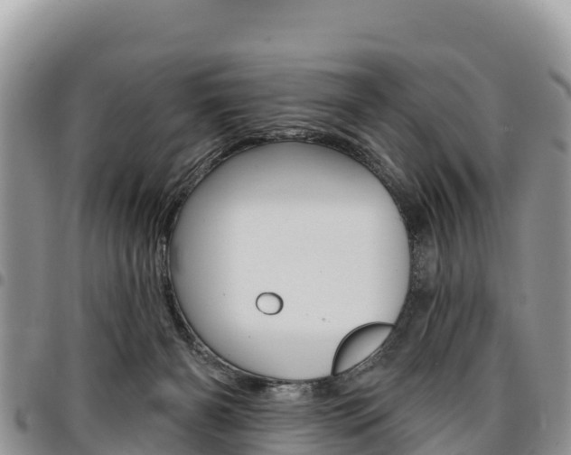 X0000097290126200802151107