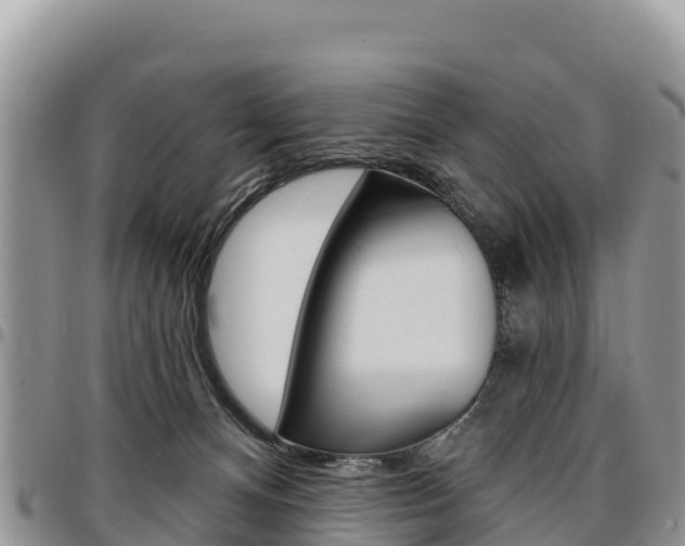 X0000097290128200802151107