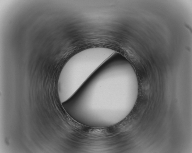 X0000097290129200802151107