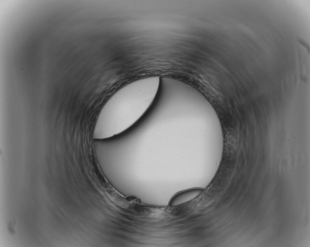 X0000097290130200802151107