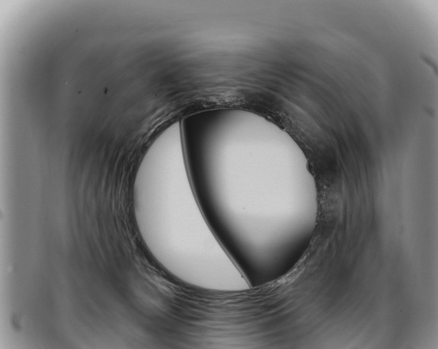 X0000097290132200802151107