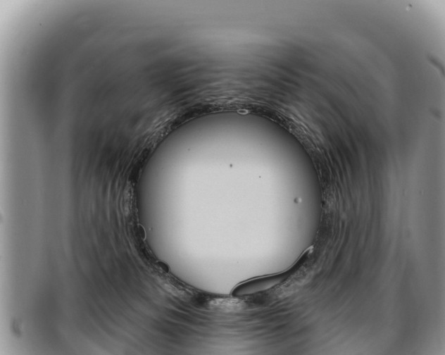 X0000097290133200802151107