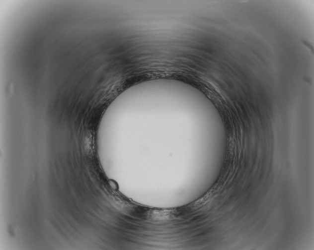 X0000097290134200802151107