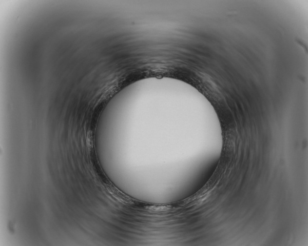 X0000097290135200802151107