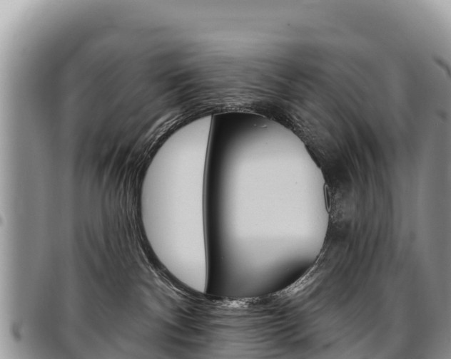 X0000097290140200802151107