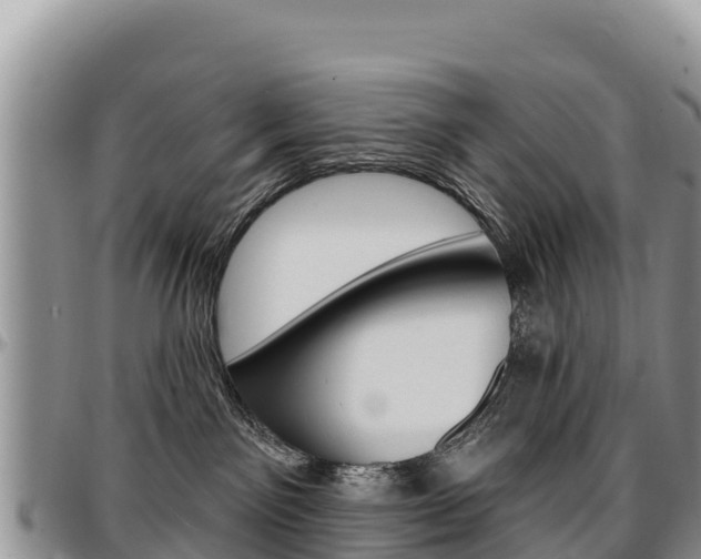 X0000097290141200802151107