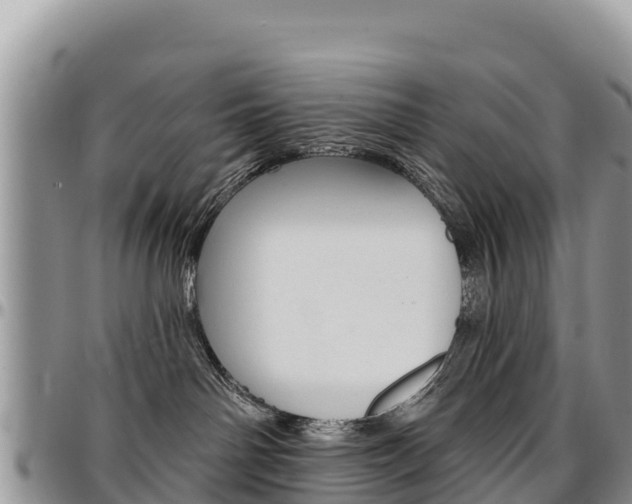 X0000097290142200802151107