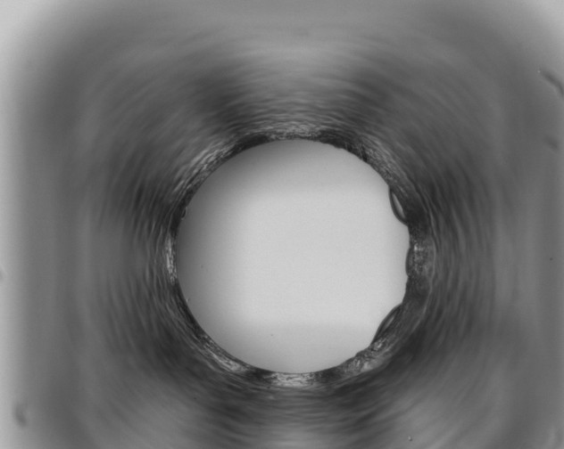 X0000097290143200802151107