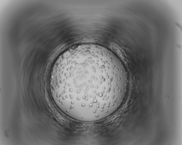 X0000097290145200802151106